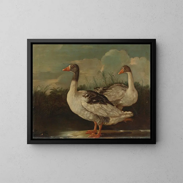 Two proud geese - Italian school — framed artwork on a wall