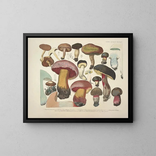 Faithful representations and descriptions of edible, harmful, and suspicious mushrooms Pl37 - J V Krombholz — framed artwork on a wall