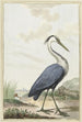 Heron grijs - Jabes Heenck — weergave van het kunstwerk