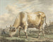 Koe graast - Jacob Cats — weergave van het kunstwerk