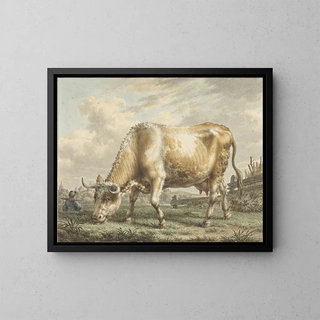 Jacob Cats - Grazing Cow.webp