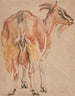 Geit - Jacob Jordaens — weergave van het kunstwerk