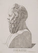 Buste de Socrate - Jacob Kornerup — weergave van het kunstwerk