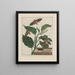 Observaties nauwkeurig over de veranderingen van vele insecten of schildpadden Pl02 - Jacob L'Admiral — ingelijst kunstwerk aan de muur