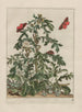 Observaties nauwkeurig over de veranderingen van vele insecten of schildpadden Pl03 - Jacob L'Admiral — weergave van het kunstwerk