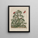 Observaties nauwkeurig over de veranderingen van vele insecten of schildpadden Pl03 - Jacob L'Admiral — ingelijst kunstwerk aan de muur