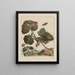 L'Observaties nauwkeurig over de veranderingen van vele insecten of beeldhouwende dieren Schilderij Pl14 - Jacob L'Admiral — ingelijst kunstwerk aan de muur