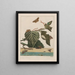 Nauwkeurige observaties over de veranderingen van vele insecten of schildpaddieren Pl28 - Jacob L'Admiral — ingelijst kunstwerk aan de muur