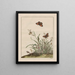 Nauwkeurige observaties over de veranderingen van vele insecten of schildpaddieren op Pl29 - Jacob L'Admiral — ingelijst kunstwerk aan de muur