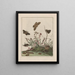 Observaties nauwkeurig over de veranderingen van vele insecten of schildpadden Pl31 - Jacob L'Admiral — ingelijst kunstwerk aan de muur