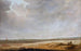 Landschap met maïsvelden - Jacob Salomonsz van Ruysdael — weergave van het kunstwerk