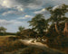 Landschap - Jacob van Ruisdael — weergave van het kunstwerk