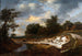 Falaise sablonneuse - Jacob van Ruisdael — weergave van het kunstwerk