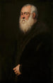 Homme à la barbe blanche - Jacopo Tintoretto — weergave van het kunstwerk