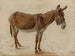 Een ezel - Jacques-Laurent Agasse — weergave van het kunstwerk