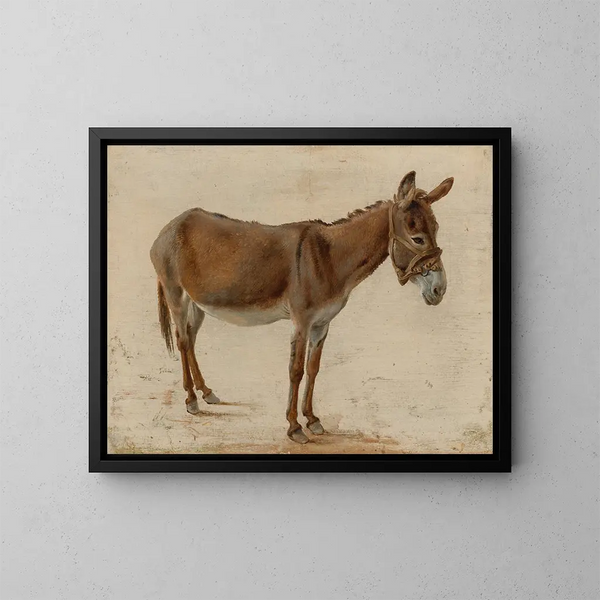 A Donkey - Jacques-Laurent Agasse — framed artwork on a wall