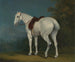 Een grijze merrie van dame - Jacques-Laurent Agasse — weergave van het kunstwerk