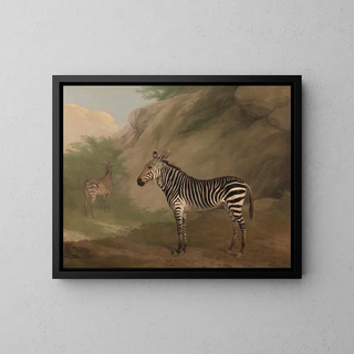 JacquesLaurent Agasse - Zebra.webp
