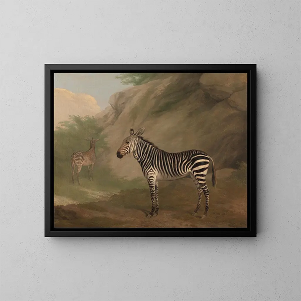 Zebra - Jacques-Laurent Agasse — framed artwork on a wall