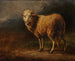 Mouton blanc - Jacques-Raymond Brascassat — weergave van het kunstwerk