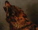 Wolfkop - Jacques-Raymond Brascassat — weergave van het kunstwerk