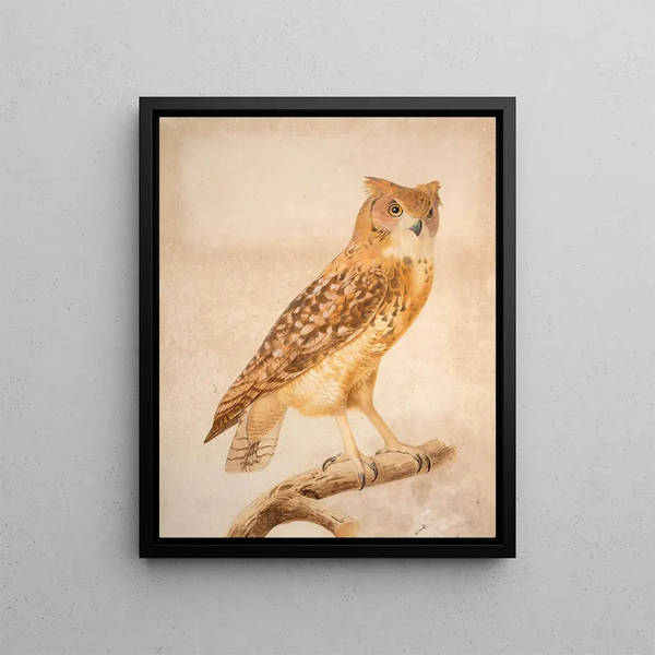 The Pharaoh's Great Horned Owl - Jacques Barraband — framed artwork on a wall