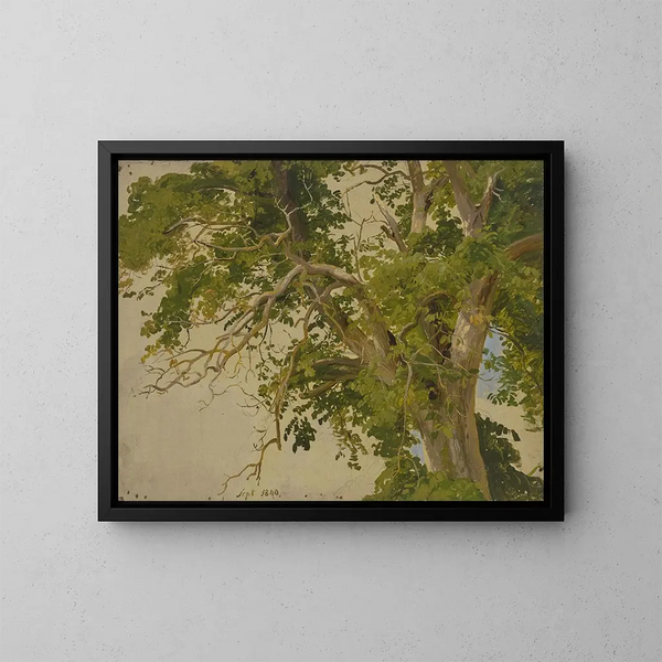 Canopée - Jakob Becker — framed artwork on a wall