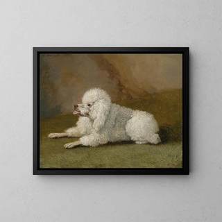 Jakob Philipp Hackert - Portrt Eines Pudels.webp