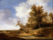 Een weg bij de cottages - Jacob van Moscher — weergave van het kunstwerk