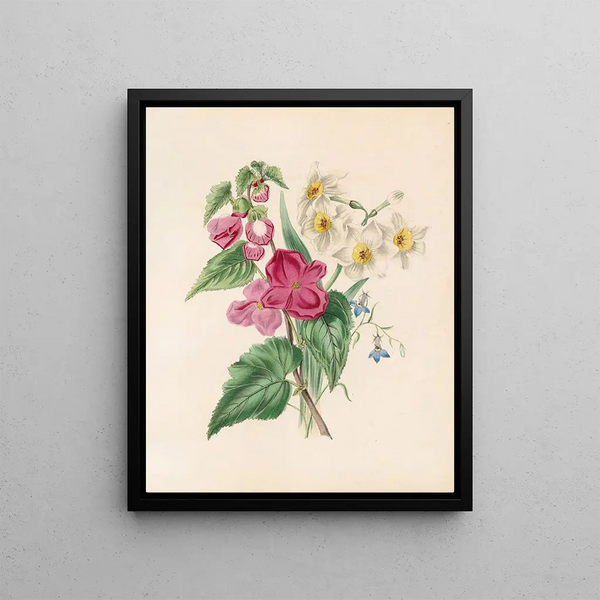 Bignonia martiana Narcisse and Blue Lobelia - James Ackerman — framed artwork on a wall