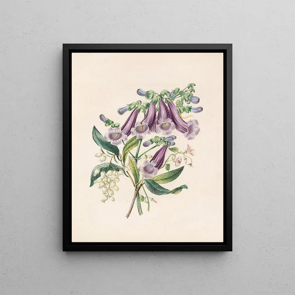 Jacaranda tomentosa and strawberry tree - James Ackerman — framed artwork on a wall