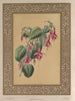 Le Fuchsia - James Andrews — weergave van het kunstwerk