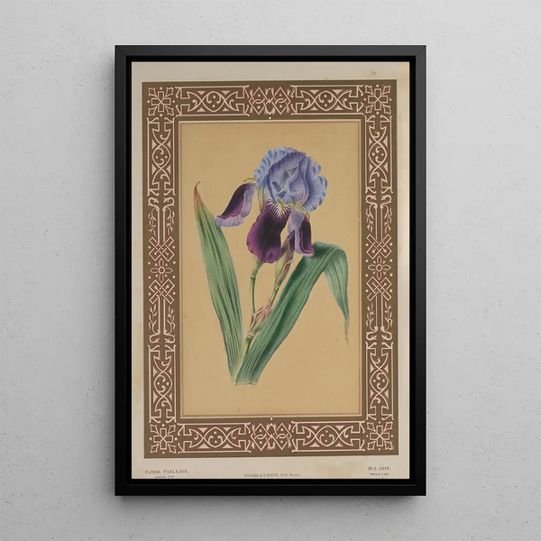 James Andrews - The Iris.webp