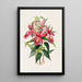 Sobralia Macrantha - James Bateman — ingelijst kunstwerk aan de muur