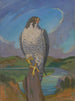 Faucon pèlerin - James C. Kulhanek — weergave van het kunstwerk