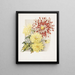 Daisies - James Callowhill — ingelijst kunstwerk aan de muur