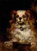 The Duke of Marlborough, portrait of a puppy - James Carroll Beckwith — artwork view