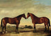 Paar paarden - James Clark — weergave van het kunstwerk