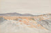 Dunedin vanaf het oceaanstrand - James Crowe Richmond — weergave van het kunstwerk