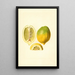 Citrus limon - James Marion Shull — ingelijst kunstwerk aan de muur