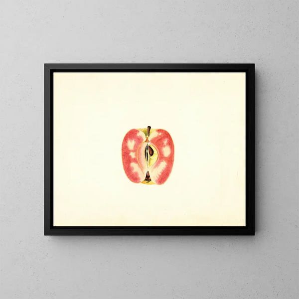 Apple domestique Surprise - James Marion Shull — framed artwork on a wall