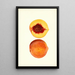 Prunus persica Shipper - James Marion Shull — ingelijst kunstwerk aan de muur