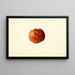 Prunus persica Sutler Cling - James Marion Shull — ingelijst kunstwerk aan de muur