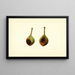 Pyrus communis Kieffer - James Marion Shull — ingelijst kunstwerk aan de muur