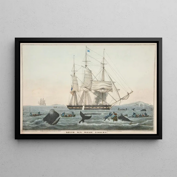 James S Baillie - South Sea Whale Fishery.webp