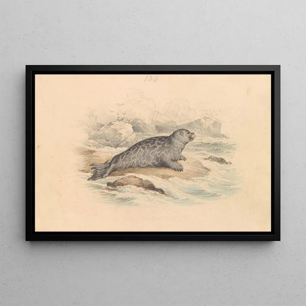 James Stewart - The Ringed Seal.webp