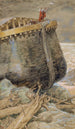 La Colombe revient vers Noé - James Tissot — weergave van het kunstwerk
