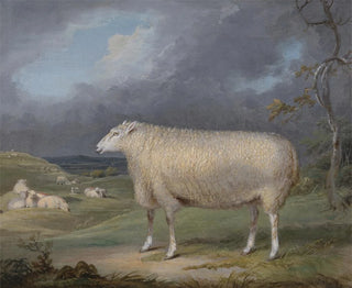 James Ward - A Border Leicester Ewe.webp