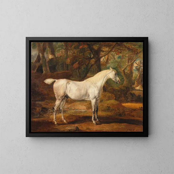 Arabisch grijs paardenschilderij behorend tot Sir Watkin Williams-Wynn - James Ward — ingelijst kunstwerk aan de muur