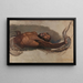 van een man die vecht met een boa constrictor Studie voor De slang Liboya die zijn prooi grijpt - James Ward — ingelijst kunstwerk aan de muur